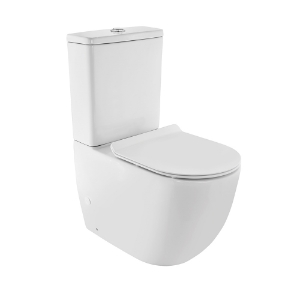 Picture of Rimless Bowl With Cistern For Coupled WC